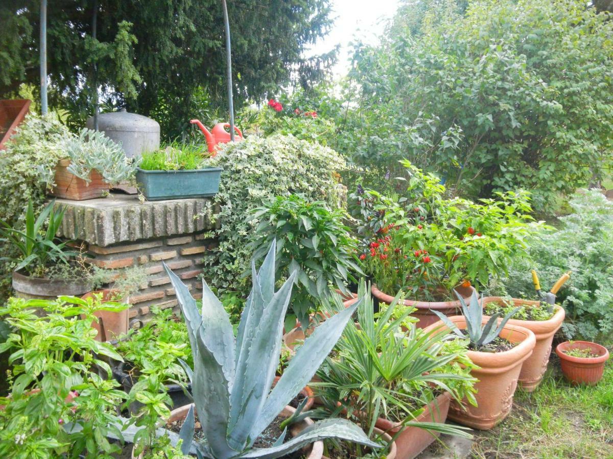 Appartamento Danilla Maratello Extérieur photo